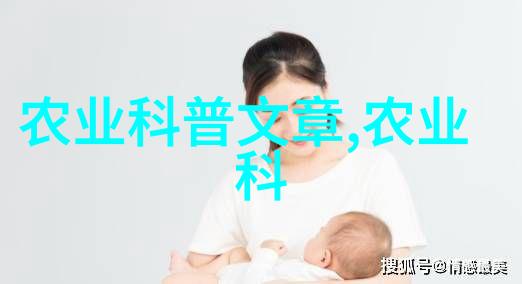 茶叶小百科品鉴与烹饪的艺术探索