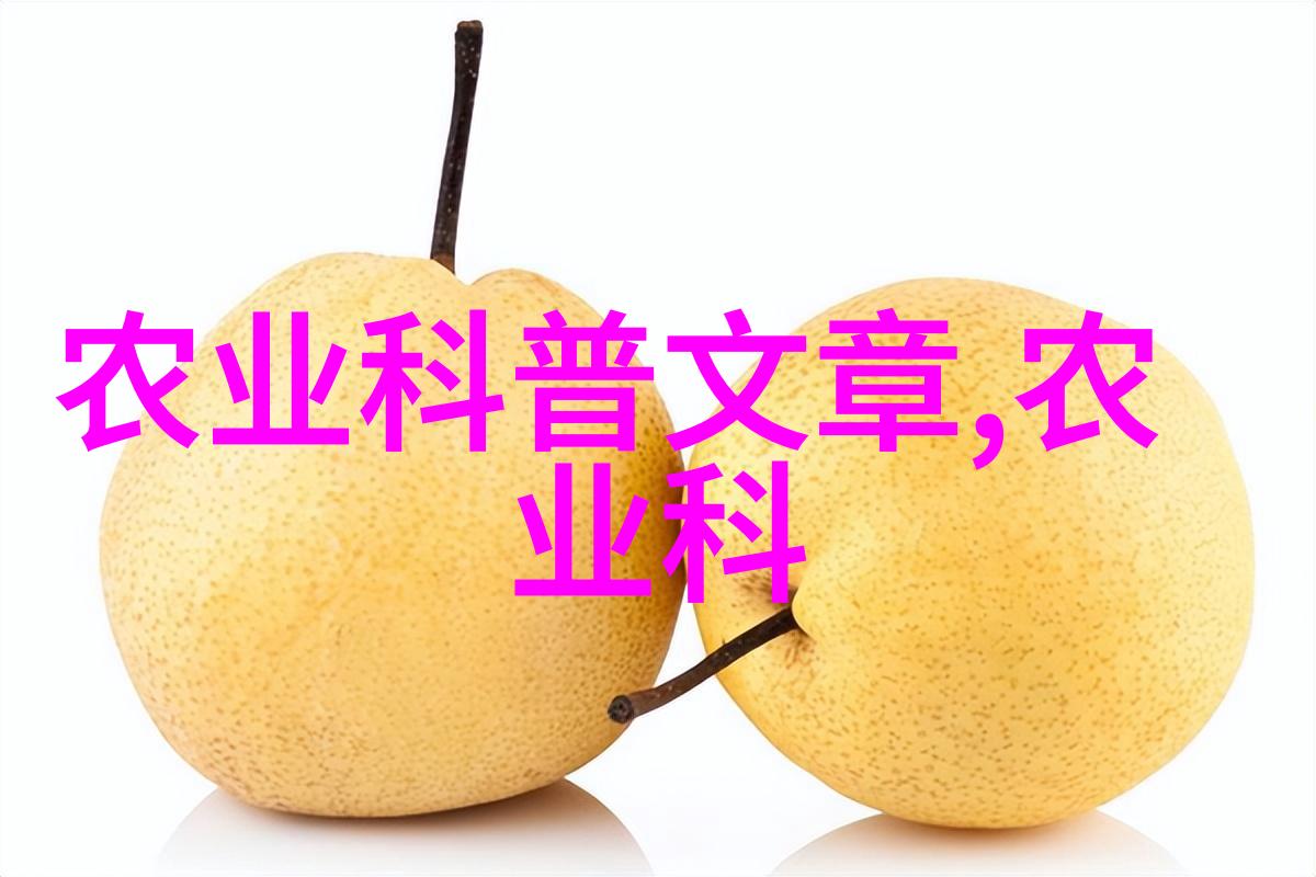 斗南鲜花批发平台专业的鲜花供需服务