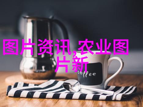 追溯一年的变化不同季节下的五味子成熟过程