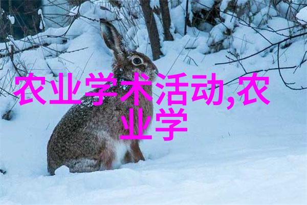 环境变化如何影响了蜜蜂的生存