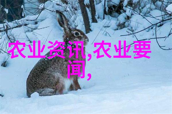 百万树木的守护深入了解1000万绿化工程的规模与意义