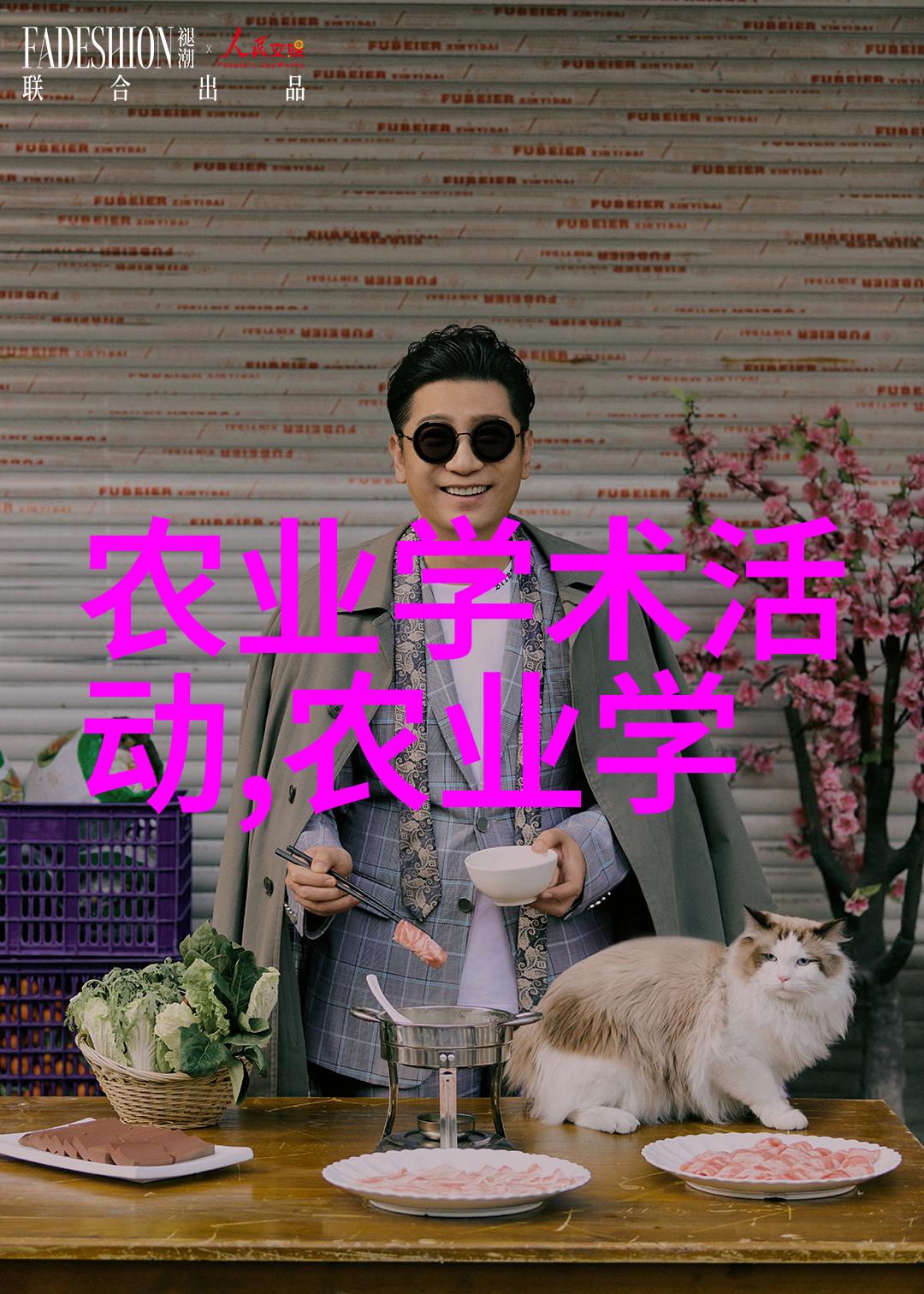 药材种植经验分享一年一收的秘诀