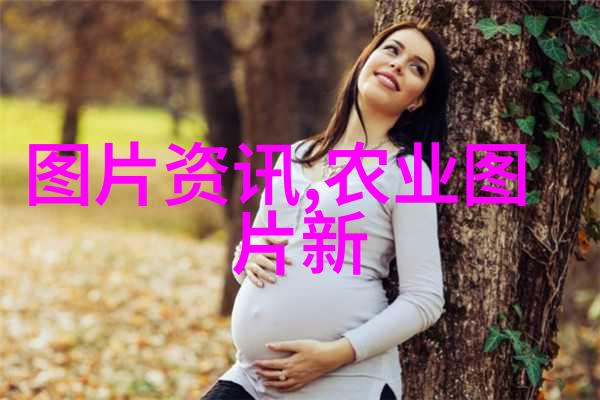 金钱龟的选择与鉴定如何挑选健康成长的金钱龟进行养殖