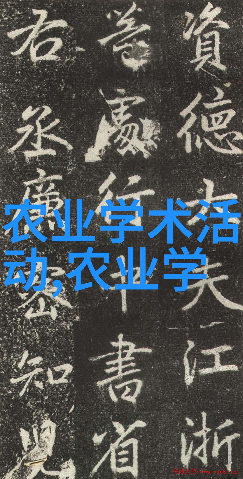 出资参与养殖与日常经营管理有何区别我该如何平衡两者的关系