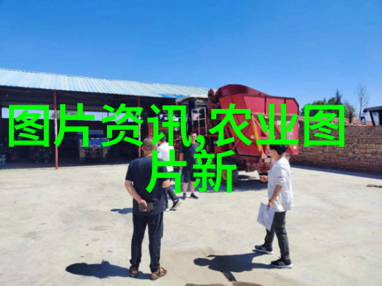 哪些新兴市场对快速生长且经济价值高的大补品有较大需求