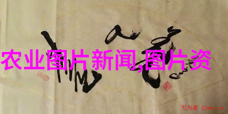 庭院蔬菜种植技术与管理-精耕细作提升庭院蔬菜产量的技术与管理策略