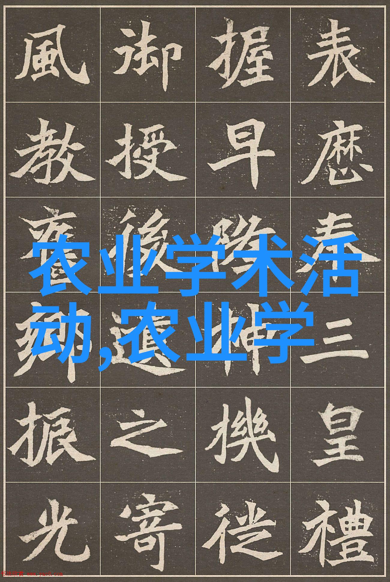 从花卉到财富从屋檐到市场探索现代家庭户外空间改造与增值潜力-一款基于实时数据分析平台的应用案例研究报