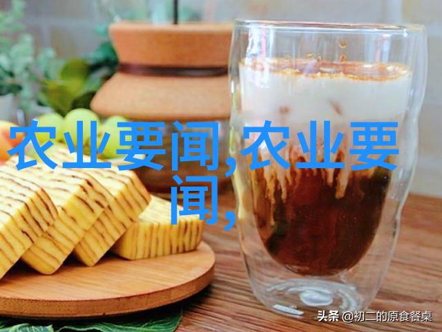 石家庄市举办蔬菜生产机械化技术推广田间日活动