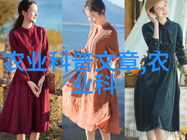 在职场中送领导礼物时为何避免选用茶叶