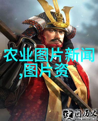 2022年肉牛价格走势我是如何跟着市场脉动挣扎过的