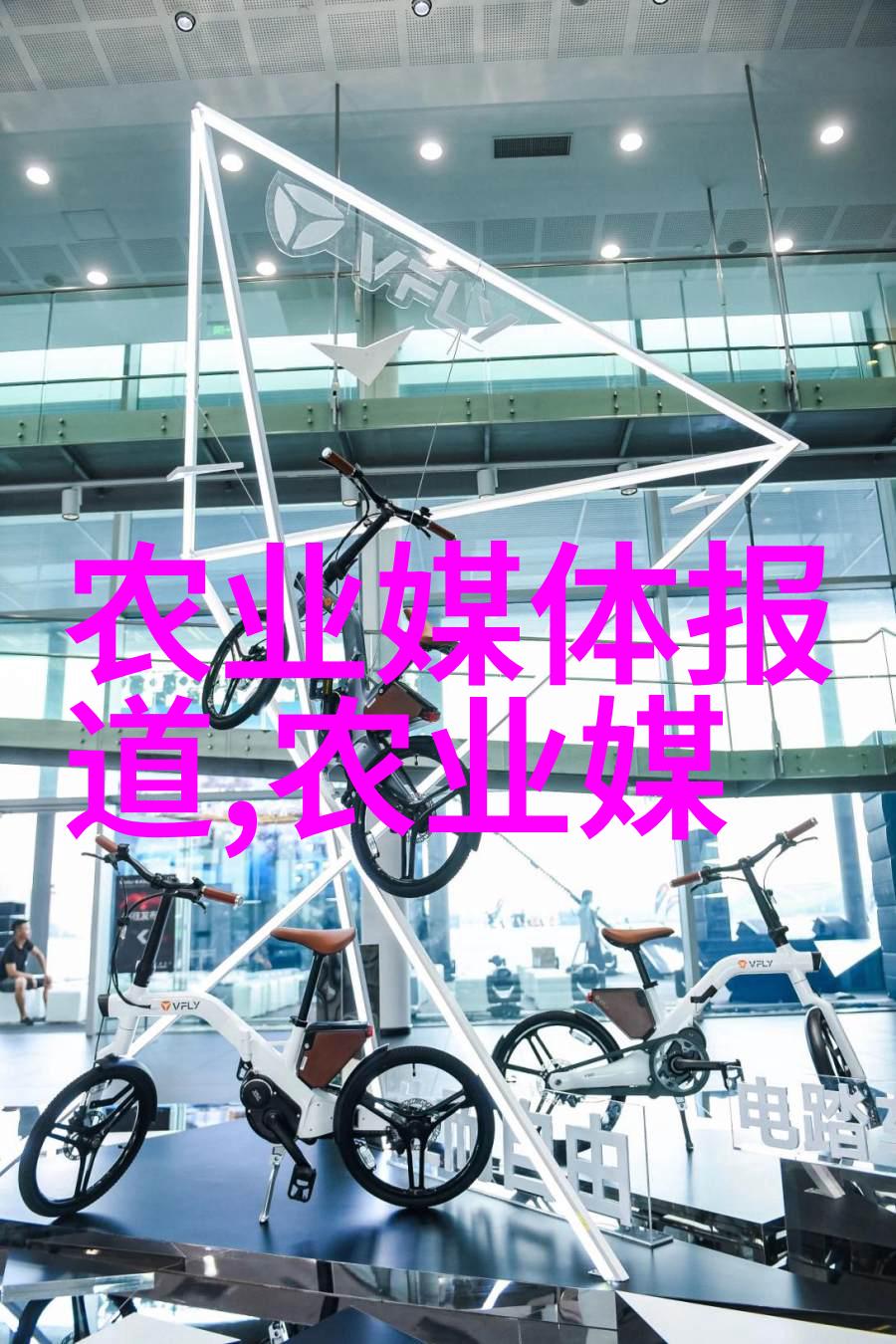 绿茵滋养蔬菜大棚的秘密花园