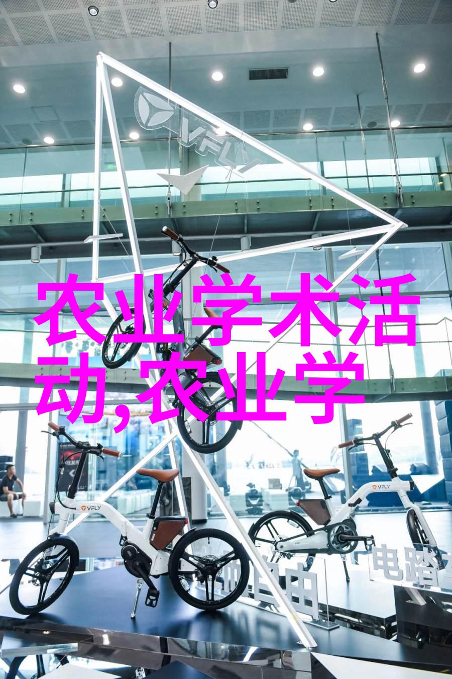 苗木网大全绿色植物种类查询系统