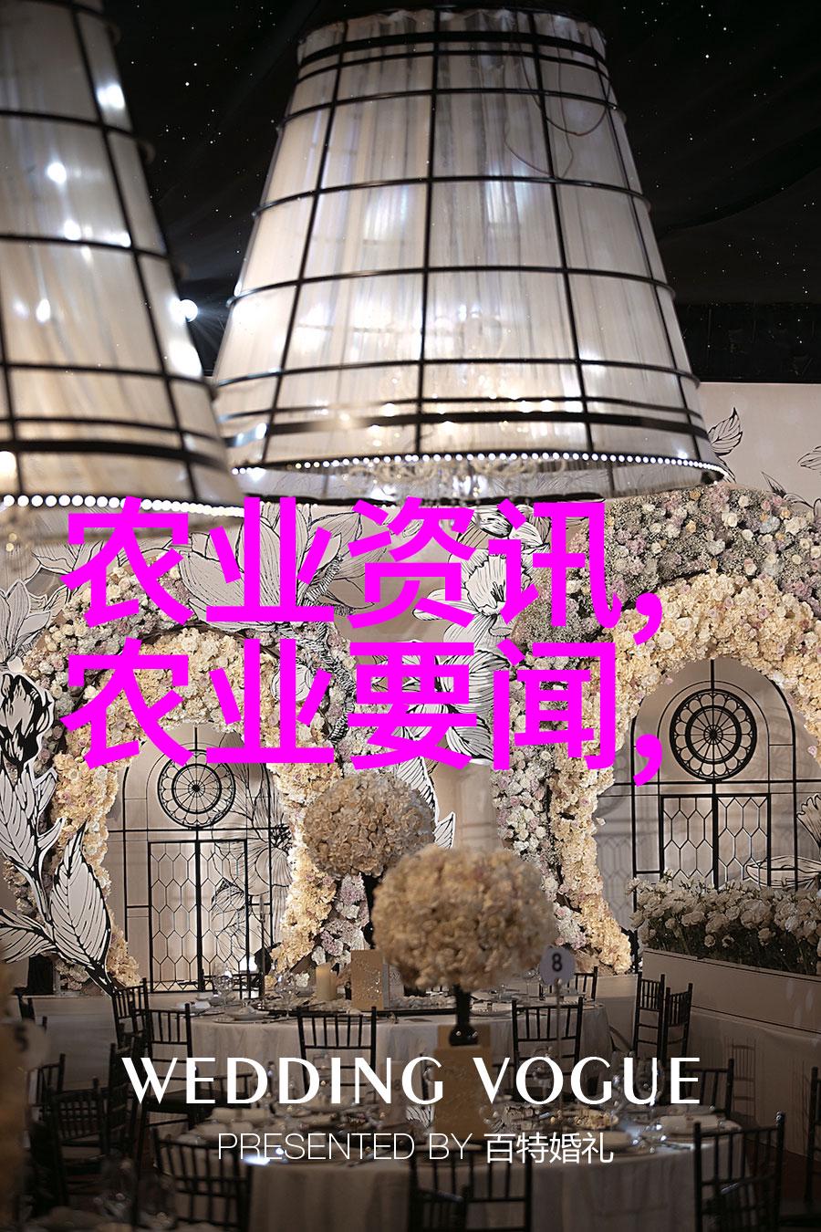 花间画卷探索盆栽花卉的多彩世界