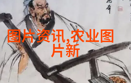 飞翔的梦想全文小说阅读与插翅难飞的故事