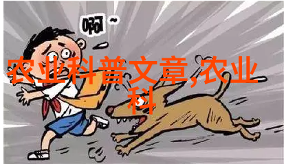 品味晨曦茶入门指南