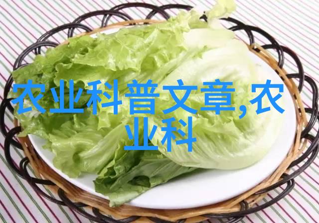 蜂舞之箱甜蜜的代价