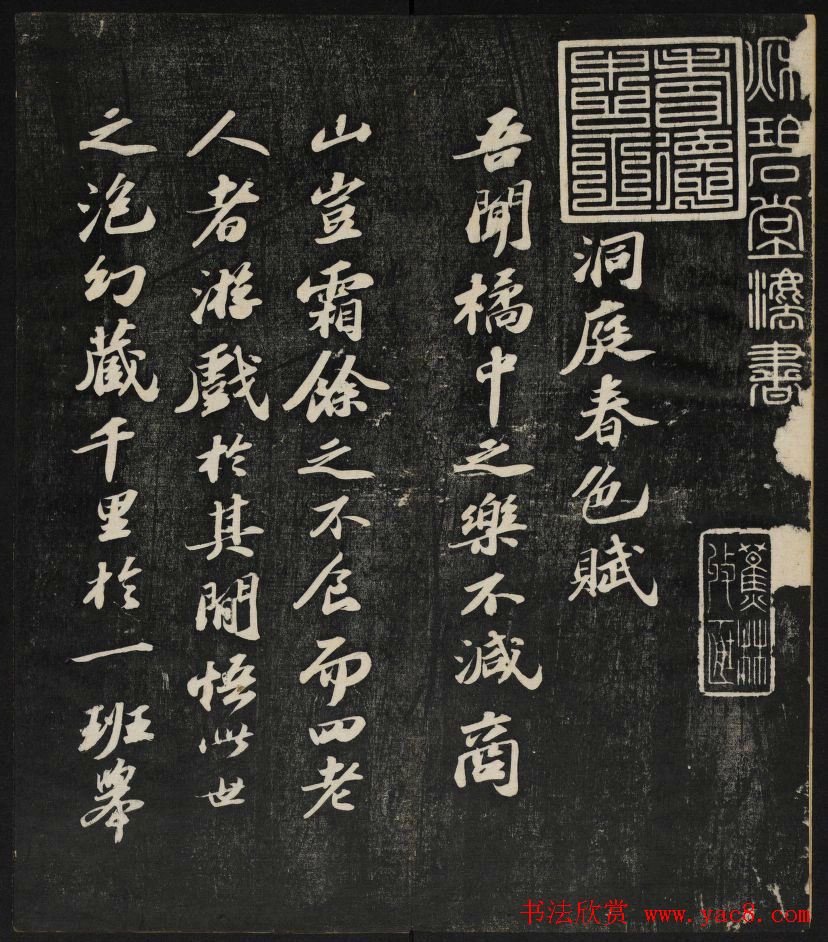 生态友好环保方式在家中种植自然成长的水果