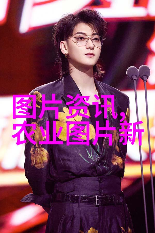 稻谷烘干机-金黄色收获稻谷烘干机的重要性与创新