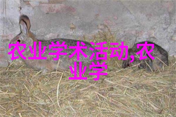 在中国建造一座覆盖二亩地的现代化大棚会花费多少钱
