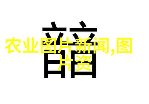 野生桑黄市场走势探究2020年价格变动分析