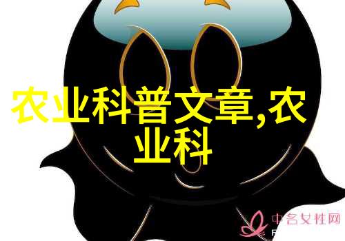初中生打扑克又软又疼又叫青春的斗争与友谊的洗礼