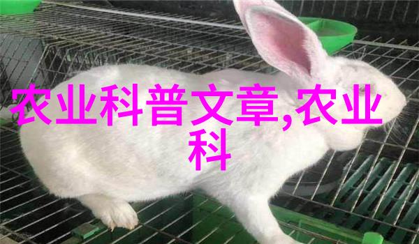 花卉种植技巧全解从土壤选择到养护秘诀