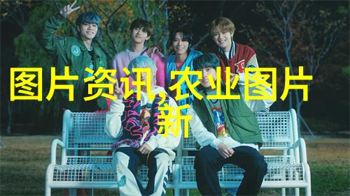 探秘菌类美食从野生菌到家常做法的诸多魅力