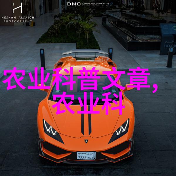 市场上的香菇价格波动影响因素与消费者选择
