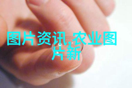 养50只羊的初步投资成本分析农牧业投资收益预测