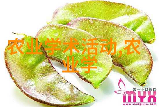 茶叶药用价值深度探究中药材的自然疗愈力量