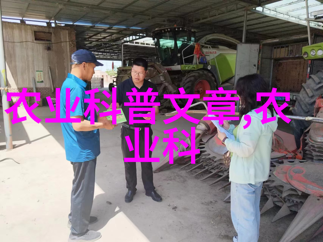 10亩连栋大棚造价背后的经济谜团解析