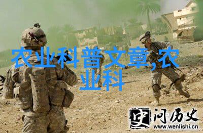 绿洲之巅掌握庭院蔬菜种植技术与精细管理技巧