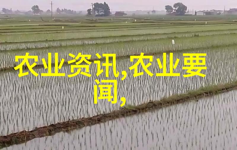 花卉种植知识大全从选择种子到精细护理的全方位指南