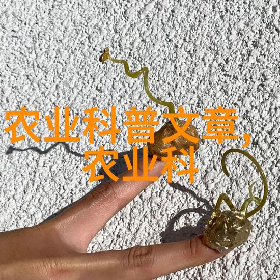 园艺花卉种植技术花卉栽培方法土壤调理灌溉管理施肥指南病虫害防治