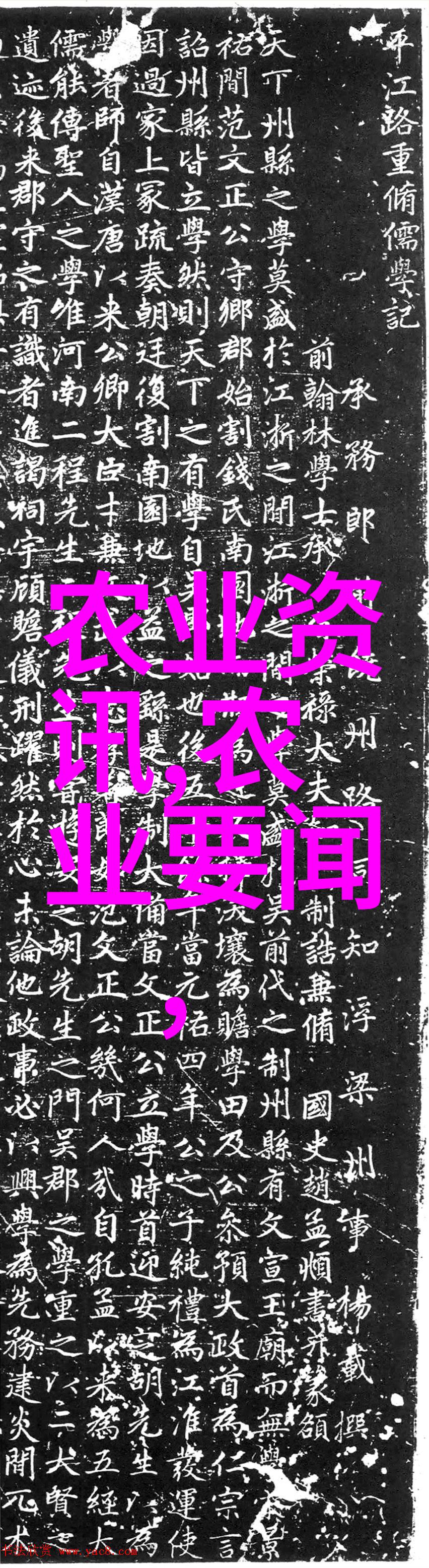 新版金银瓶1一5电影-金银瓶奇缘重启篇