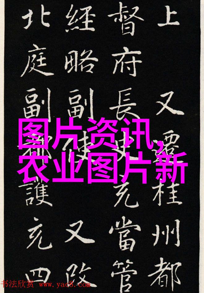 减肥健康-刮油减肥的最佳茶饮选择清热解毒秘籍