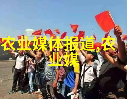 茶叶成分解析从绿到红的化学变迁