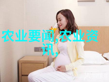 物料提升机之谜如何解锁无缝运输的秘密