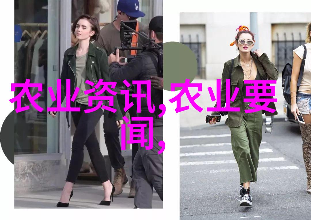 绿色宝库蔬菜大棚的立体奇迹