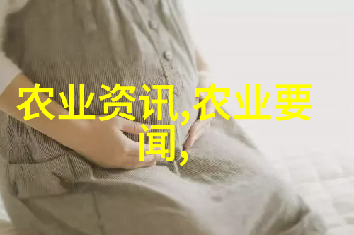甘蓝菜的美味秘密探索这份绿意盎然的超级食物