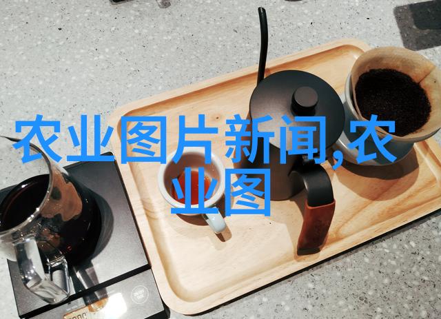 绿化苗木征地补偿标准植根于和谐共生的土壤之中