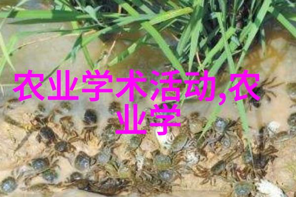 我的大学梦从大专到更高的学术殿堂