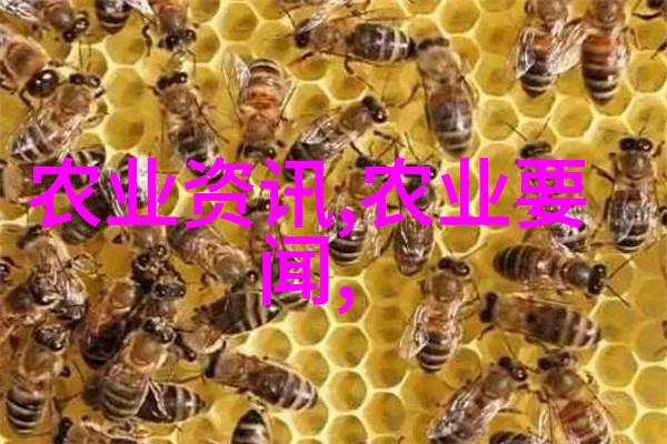 中国牛羊养殖网我来教你如何做好牧场的六稳工作