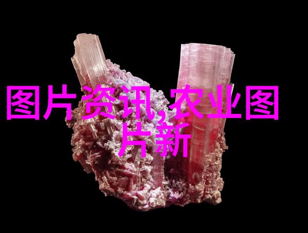 专家分析师有没有网站提供深度评论和分析