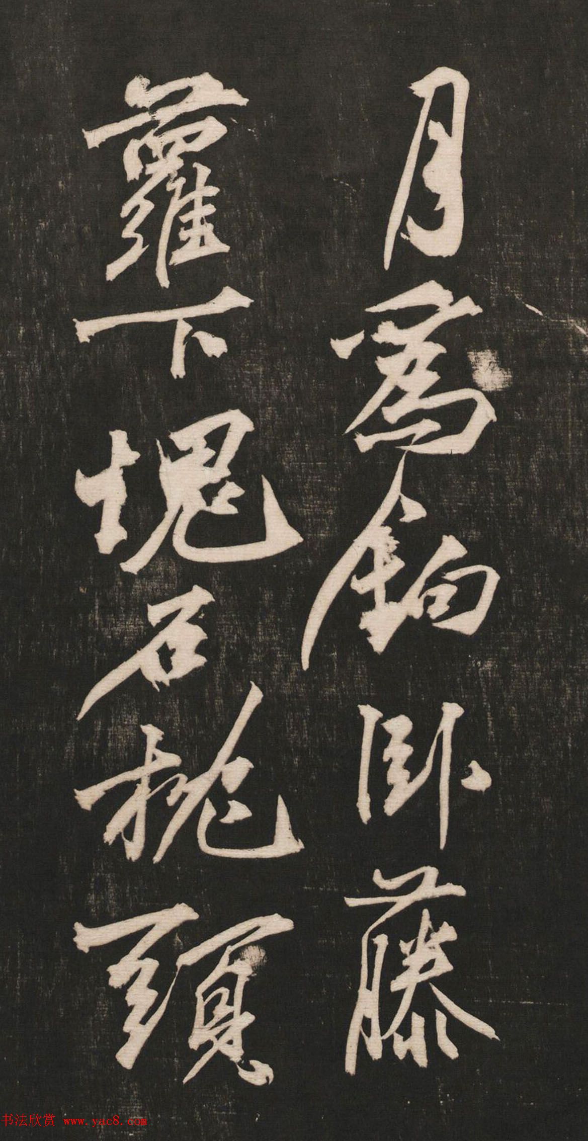 海鲜盛宴一条腿的奇迹之旅扇贝等你来尝