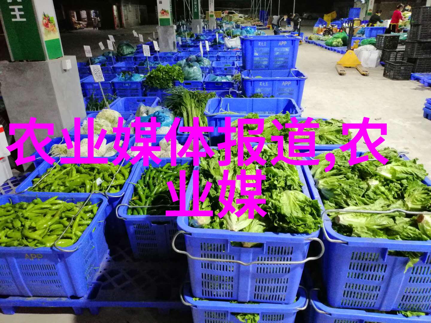激情燃烧的双人健身体验高强度运动教程解锁新能量