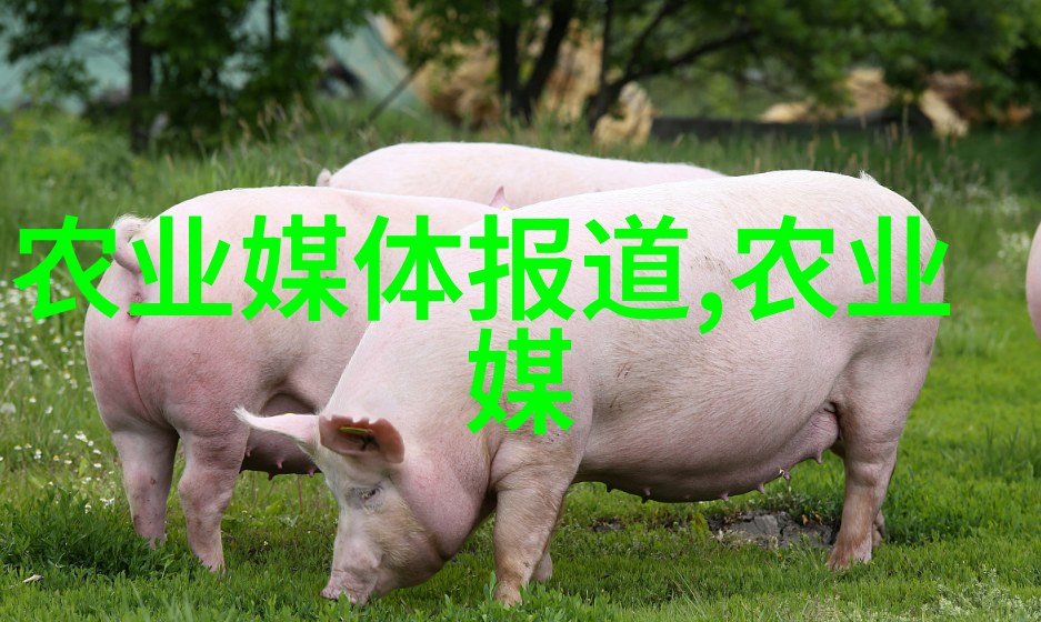 近郊采摘探索附近的果树苗圃基地