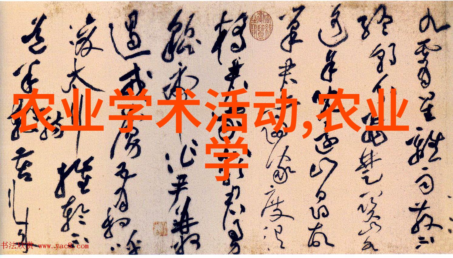 风间由美电影作品集探索日本文化与艺术的深层世界