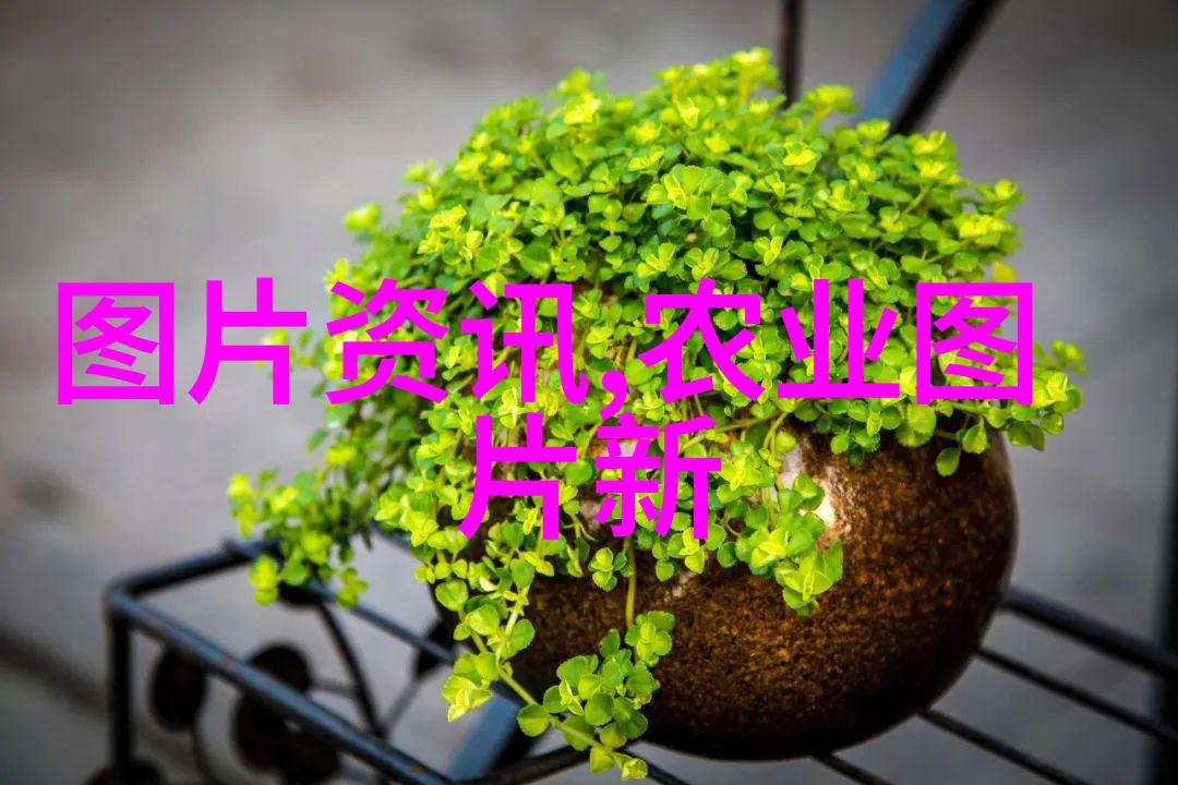 新大牧业-绿色草原下的繁荣新大牧业发展史