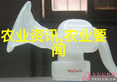2021年两会亮点究竟是什么深度解读背后的政策转变与未来趋势